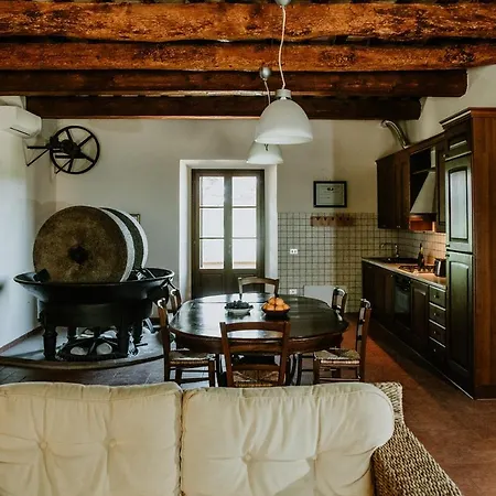 The Olive House Holiday home Castelfiorentino