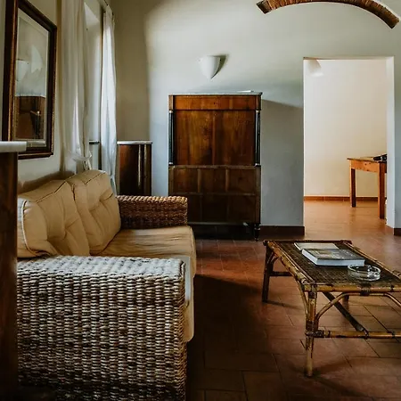 The Olive House * Castelfiorentino