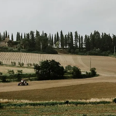 The Olive House Holiday home Castelfiorentino