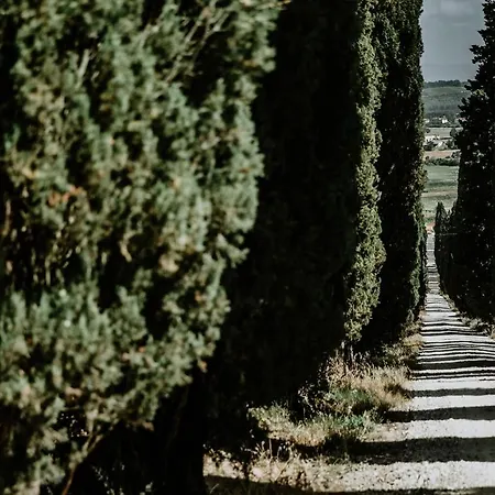 Holiday home The Olive House Castelfiorentino
